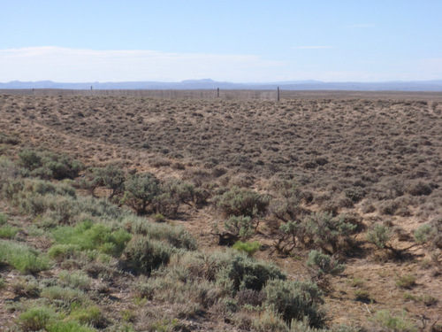 Looking toward Medicine Bow (SE).